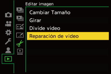 gui_video-repair1_spa