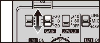 Image_Setting_Input_Gain_Switch