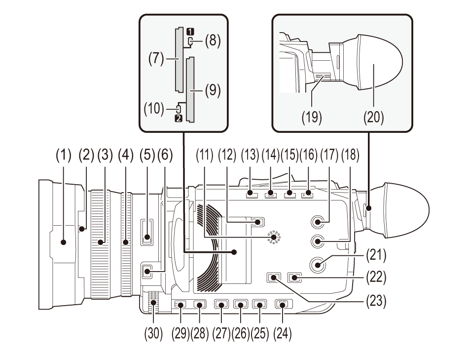 body_parts_rightside_ag