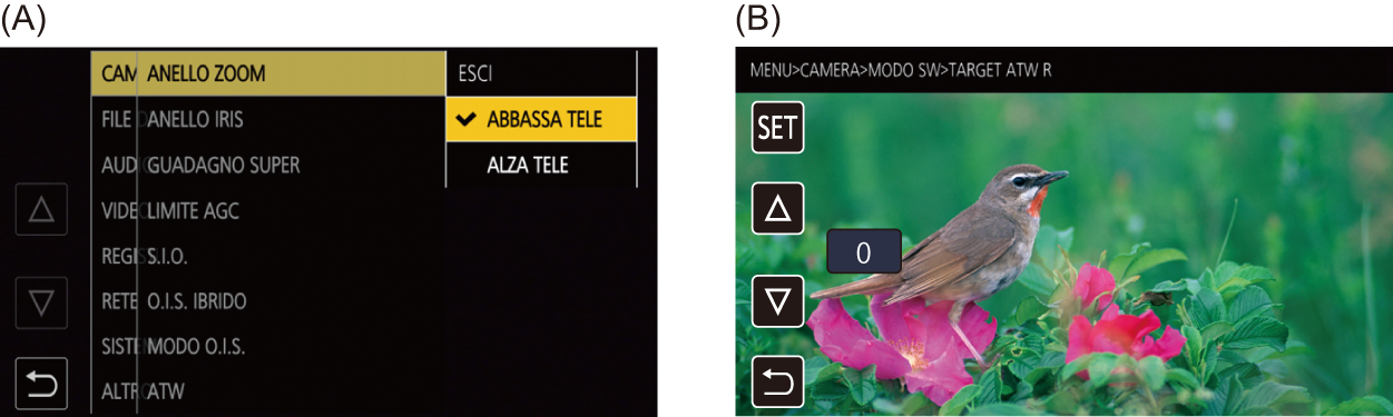 co_osd_menu_ita