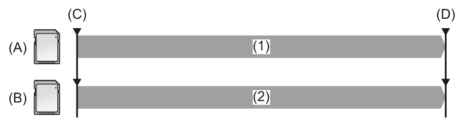 co_other_dual-codec_rec