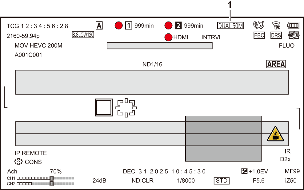 other_display_status_rec_dualcodec