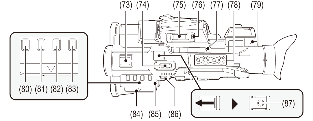 body_parts_upperside