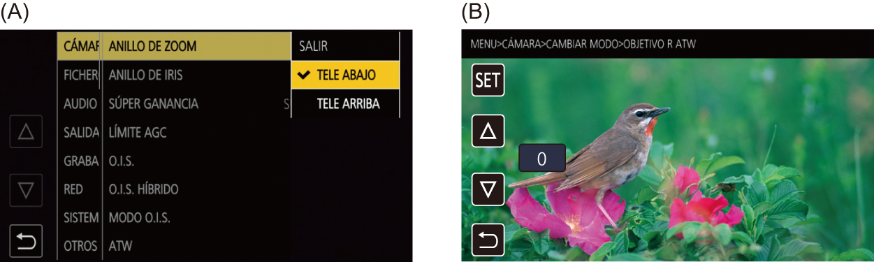 co_osd_menu_spa