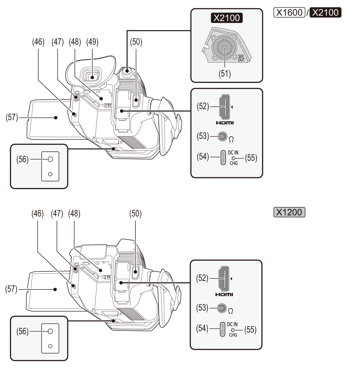 body_parts_backside_ara