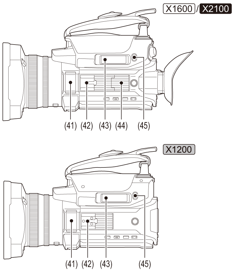 body_parts_frontside_ara