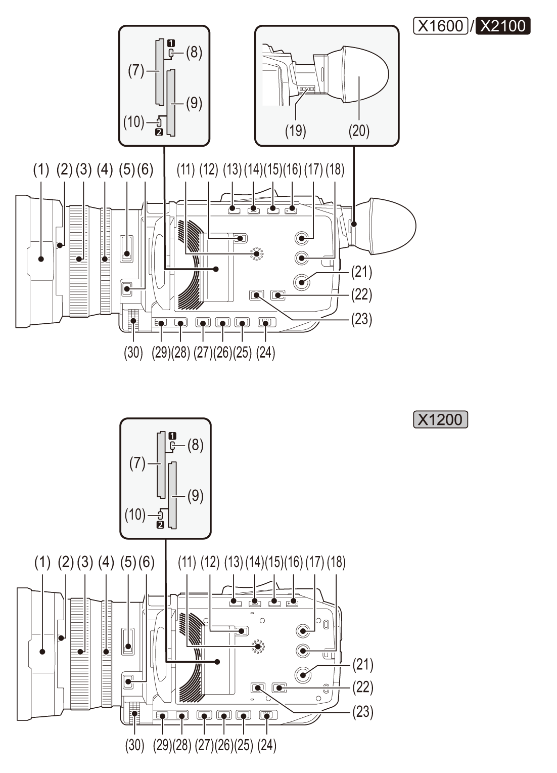 body_parts_rightside_ara
