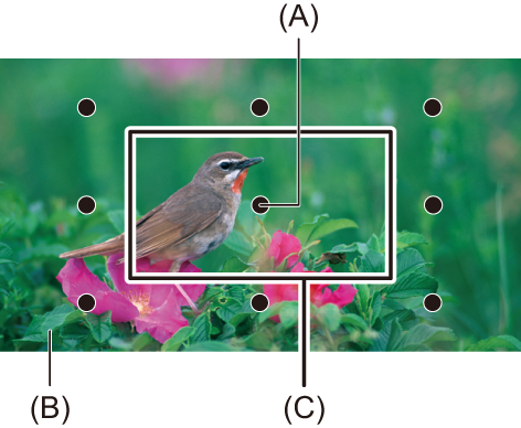 image_focus-assist-exp-pos