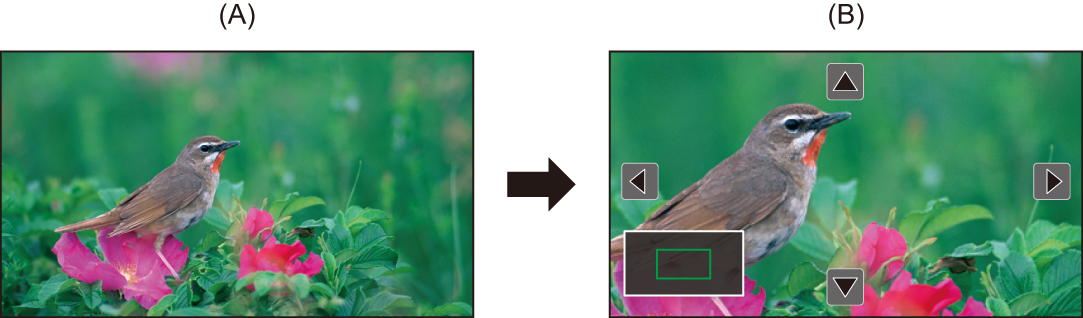 image_focus-assist-exp