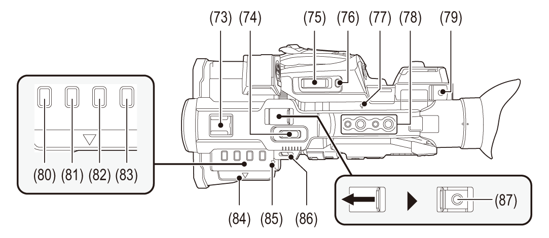 body_parts_upperside