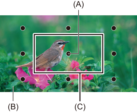 image_focus-assist-exp-pos