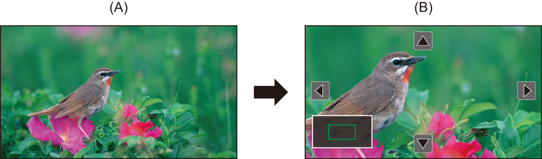 image_focus-assist-exp